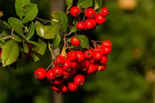 3840.webp