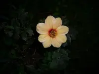 k-DSCI3090.webp