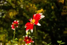 3814.webp
