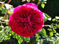 DSC03502.webp