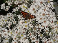DSCF2793.webp