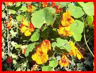 024.webp