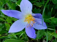 DSCN1923.webp