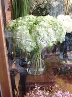 CIMG4454.webp