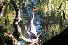 DSCF8571 (2).webp