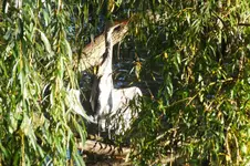 DSCF8573.webp