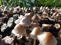 P1220509.webp