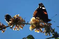 DSCF8663.webp