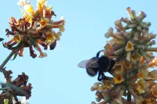 DSCF8666.webp