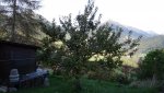 DSC04480-klein.jpg
