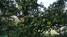 DSC04485-klein.webp