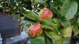 DSC04489-klein.webp