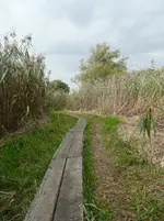 P1060914.webp