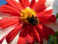 P1220520.webp
