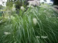 13.09.2012 005.webp