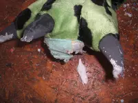 DSCF2956.webp