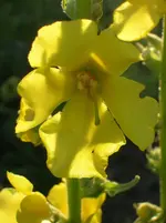 DSCN1710.webp