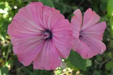 DSCF8612.webp