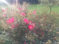 2014-10-21 09.48.54.webp