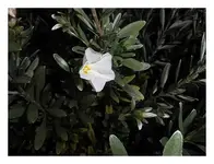 003.webp