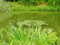 Grün_096.webp