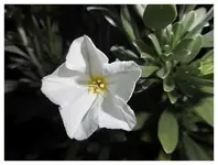 009.webp
