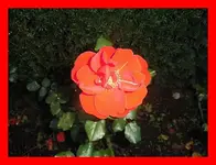 058.webp
