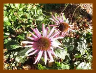 020.webp