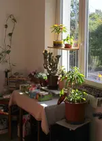 letzte_sonne_1.webp