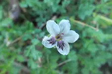 DSCF8586.webp