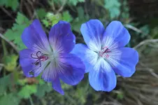 DSCF8605.webp