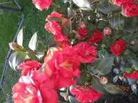 IMG_0759-001.webp