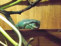 aquarium 004.webp