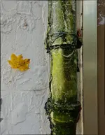 green (4).webp