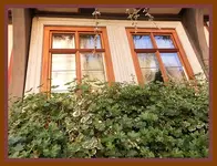 013.webp