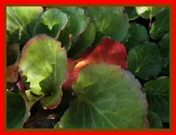 014.webp