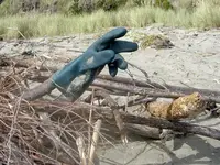 Handschuh v.webp