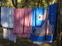 DSCN2333.webp