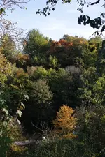 autumn_view_p.webp