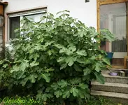 DSC01289.webp