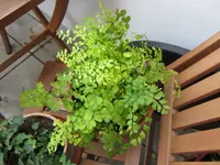 IMG_4555.webp