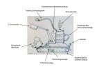 schneckenjagdroboter_studie-1.jpg