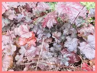 054.webp