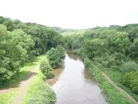 050 river avon.webp