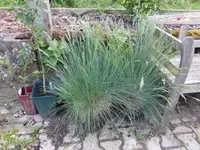 P1080100.webp