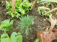 CIMG0949.webp