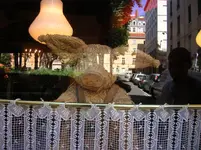 DSCN1956.webp