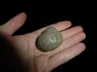 P1220811.webp
