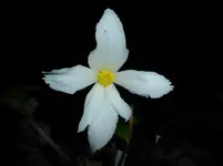 P1220826.webp