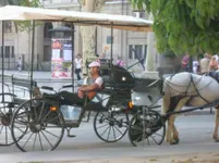 DSCN2490.webp